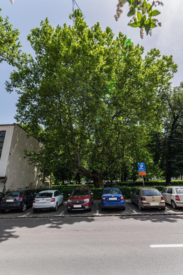 Sabin Apartments Private Parking Брашов Экстерьер фото